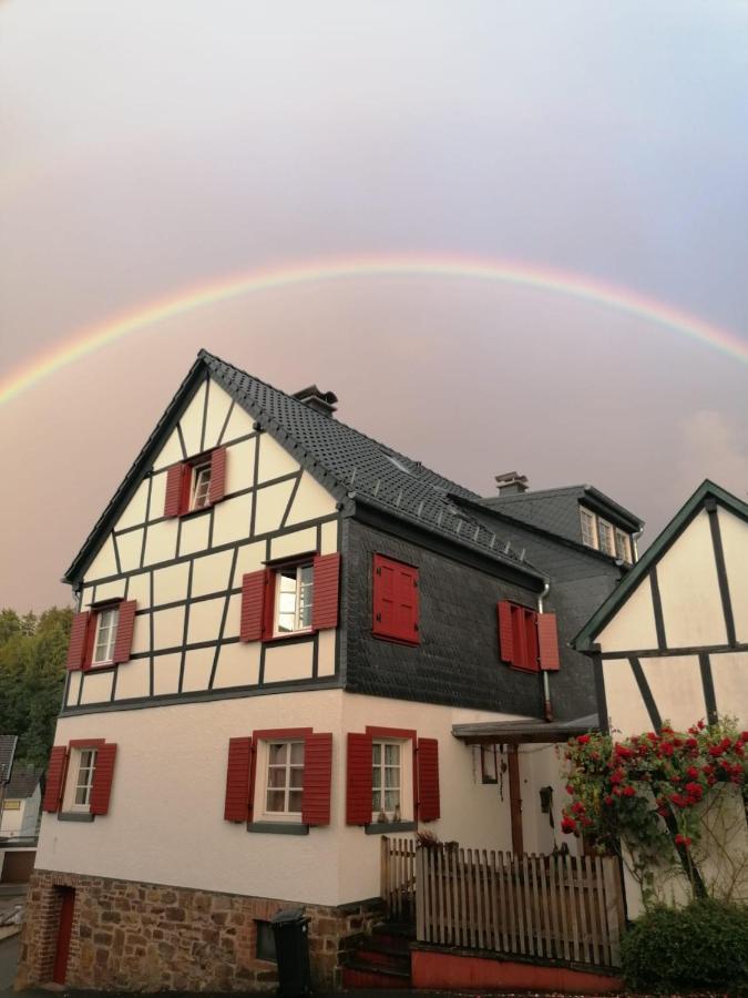 Ferienwohnung Conni Hellenthal Bagian luar foto